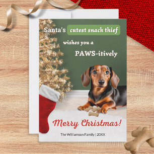 Cartes Pour Fêtes Annuelles Funny Dachshund Chien Snack Voleur Noël