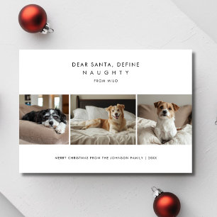 Cartes Pour Fêtes Annuelles Funny Définir Naughty Christmas Chien Photo Greys