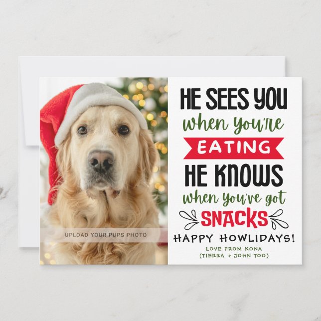 Cartes Pour Fêtes Annuelles Funny Dog Photo Christmas Picture Personalized (Devant)