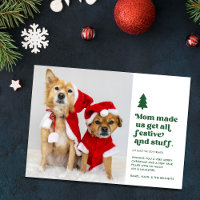 Funny Festive Plural Animaux de compagnie Photo No