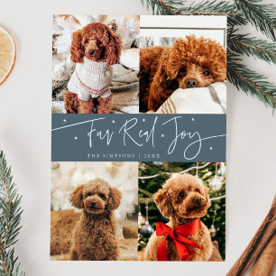 Cartes Pour Fêtes Annuelles Funny Fur Real Joy Chien Photo Ardoise Bleu Noël