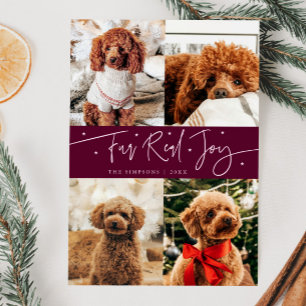 Cartes Pour Fêtes Annuelles Funny Fur Real Joy Chien Photo Canneberge Noël