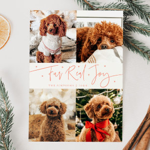 Cartes Pour Fêtes Annuelles Funny Fur Real Joy Chien Photo Peach Noël