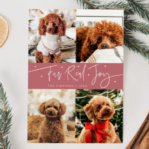 Cartes Pour Fêtes Annuelles Funny Fur Real Joy Chien Photo Rose Noël