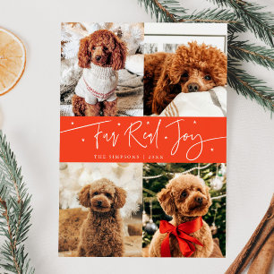 Cartes Pour Fêtes Annuelles Funny Fur Real Joy Chien Photo Rouge Noël