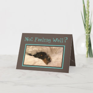Cartes Pour Fêtes Annuelles Funny Get Well Card