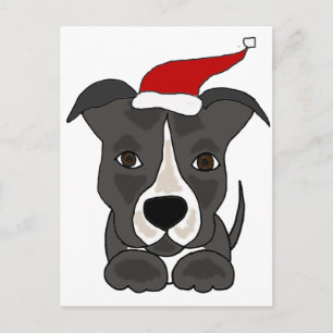 Cartes Pour Fêtes Annuelles Funny Grey Pitbull à Santa Hat Art de Noël