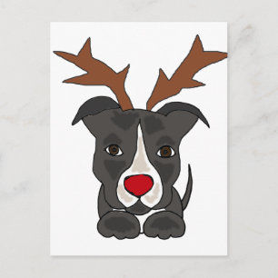 Cartes Pour Fêtes Annuelles Funny Grey Pitbull Dog as Christmas Reindeer
