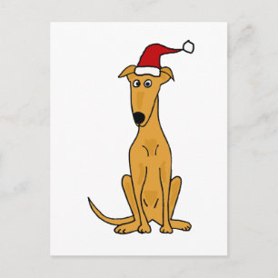 Cartes Pour Fêtes Annuelles Funny Greyhound Dog in Santa Hat Christmas Art