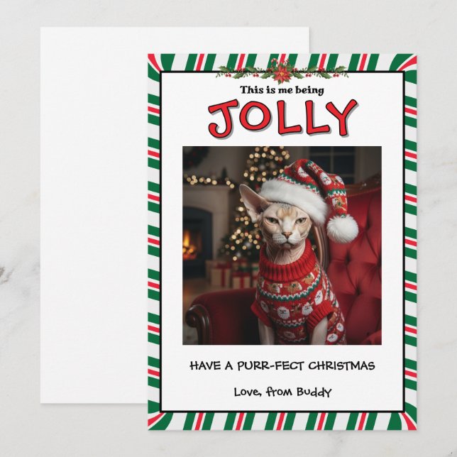 Cartes Pour Fêtes Annuelles Funny Grumpy Sphynx Cat in Sweater Custom (Devant / Derrière)