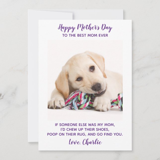 Cartes Pour Fêtes Annuelles Funny Mothers Day Personnalisé Animaux de compagni (Devant)