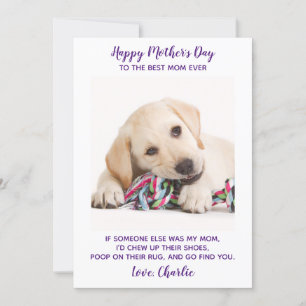 Cartes Pour Fêtes Annuelles Funny Mothers Day Personnalisé Animaux de compagni