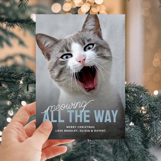 Cartes Pour Fêtes Annuelles Funny Pet Cat Fêtes Cartes de Noël (Créateur téléchargé)