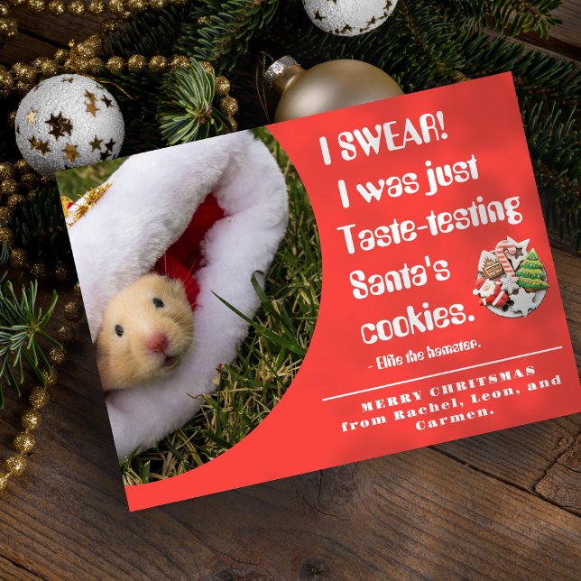 Cartes Pour Fêtes Annuelles Funny pet Hamster Photo Christmas Card (Créateur téléchargé)