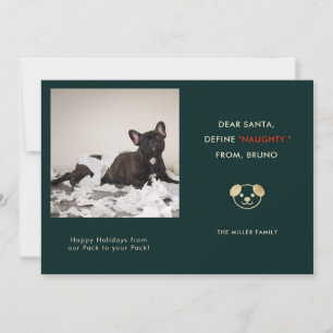 Cartes Pour Fêtes Annuelles Funny Pet Photo Noël