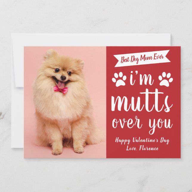 Cartes Pour Fêtes Annuelles Funny Pets Dog Lover Happy Valentine's Day (Devant)
