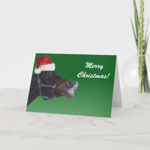 Cartes Pour Fêtes Annuelles Funny Pony Merry