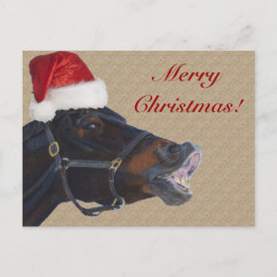Cartes Pour Fêtes Annuelles Funny Pony Merry
