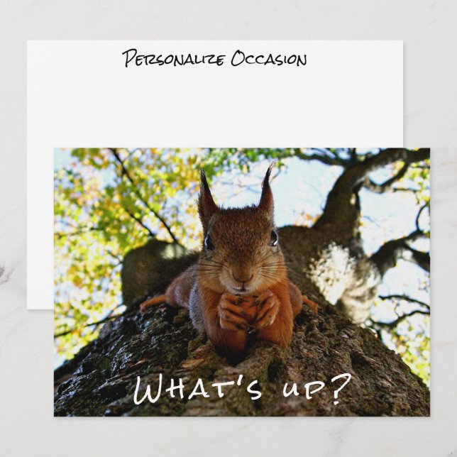 Cartes Pour Fêtes Annuelles Funny Squirrel Cute Animals Hello There from Hi (Devant / Derrière)