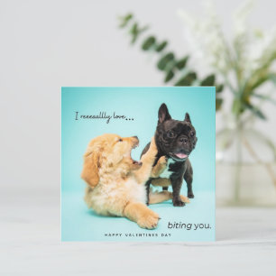 Cartes Pour Fêtes Annuelles Funny Valentines Day Card - Chien Valentines Card