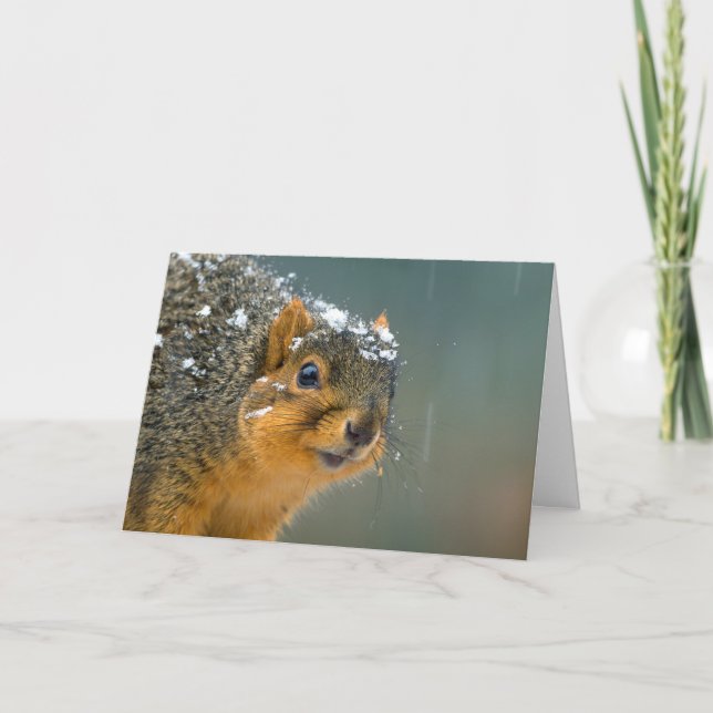 Cartes Pour Fêtes Annuelles Funny Wildlife Christmas Card (Devant)