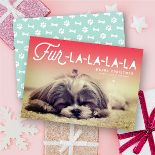 Cartes Pour Fêtes Annuelles Fur La La La La Script Amoureux des chiens Photo F
