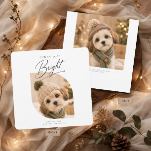 Cartes Pour Fêtes Annuelles Furry & Bright Script Cozy Winter Puppy Noël