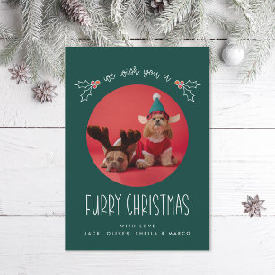 Cartes Pour Fêtes Annuelles Furry Christmas Pet Photo