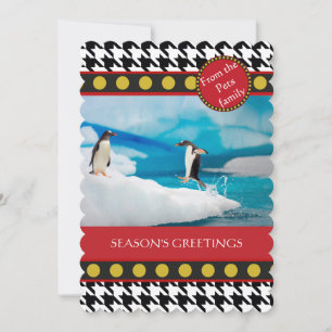 Cartes Pour Fêtes Annuelles Gamme de Noël Dogtooth, Houndstooth