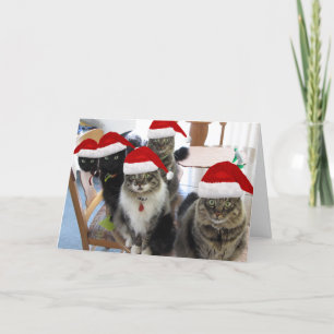 Cartes Pour Fêtes Annuelles Gang Joyeux voeux de Noël