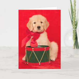 Cartes Pour Fêtes Annuelles Garçon de batteur de chiot de golden retriever
