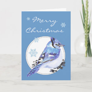 Cartes Pour Fêtes Annuelles Geai bleu de Noël de personnaliser, oiseau