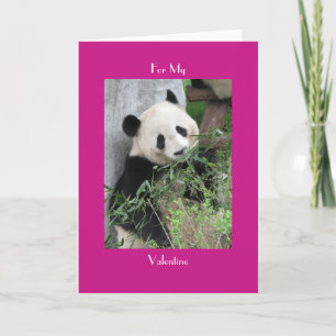 Cartes Pour Fêtes Annuelles Géant Panda Heureuse Sainte-Valentin Rose Salutati