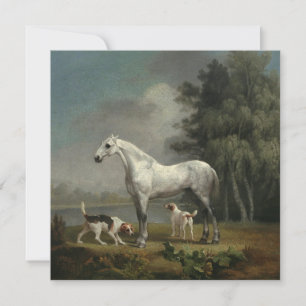 Cartes Pour Fêtes Annuelles George Stubbs - Un chasseur gris pomme