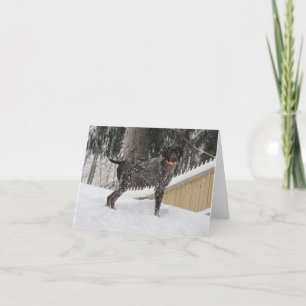 Cartes Pour Fêtes Annuelles German Shorthred Pointer en snow
