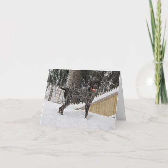 Cartes Pour Fêtes Annuelles German Shorthred Pointer en snow (Devant)