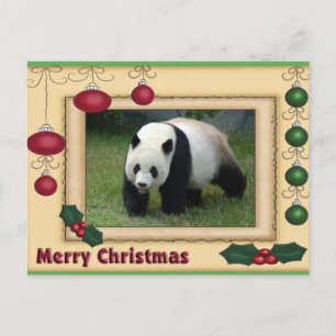 Cartes Pour Fêtes Annuelles Giant Panda Bear & Baby Panda Christmas Card