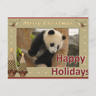 Cartes Pour Fêtes Annuelles Giant Panda Bear & Baby Panda Christmas Card