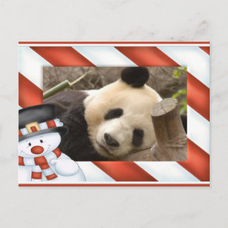 Cartes Pour Fêtes Annuelles Giant Panda Bear & Baby Panda Christmas Card