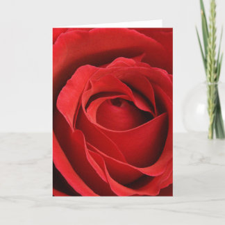 Cartes Pour Fêtes Annuelles Giant Rose Romantic Valentine