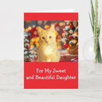 Ginger, Orange, "Pour Fille" Noël 
