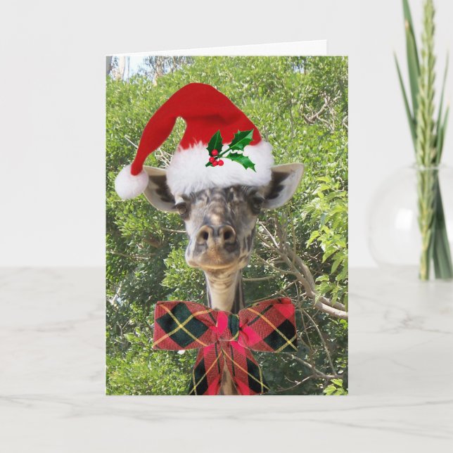 Cartes Pour Fêtes Annuelles Girafe de Noël (Devant)