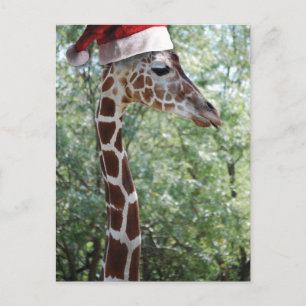 Cartes Pour Fêtes Annuelles Girafe de Noël avec chapeau de Noël