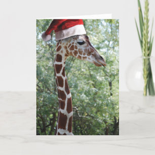 Cartes Pour Fêtes Annuelles Girafe de Noël avec chapeau de Noël