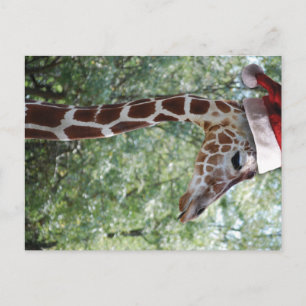 Cartes Pour Fêtes Annuelles Girafe de Noël avec chapeau de Noël