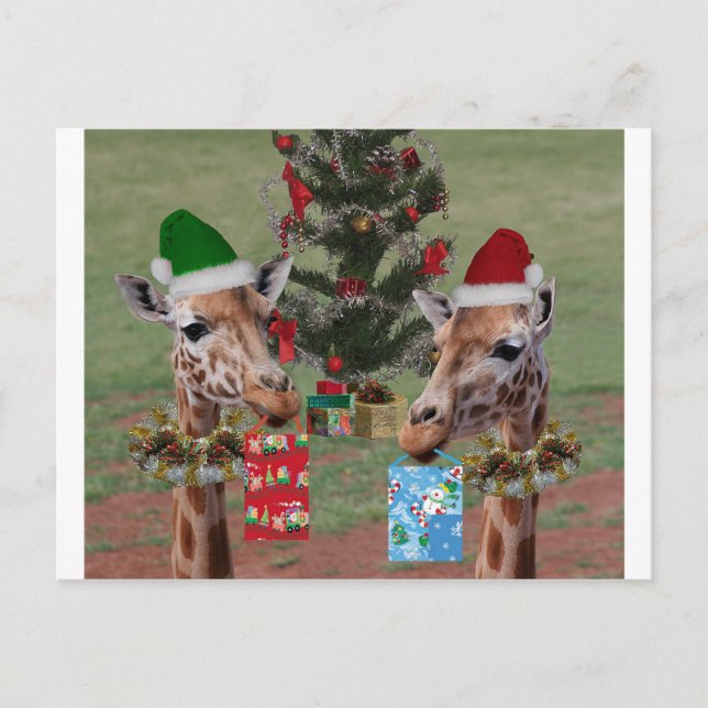 Cartes Pour Fêtes Annuelles Girafes de Noël (Devant)