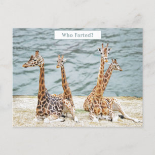 Cartes Pour Fêtes Annuelles Giraffe Eau Fun Photo - La Giraffe assis