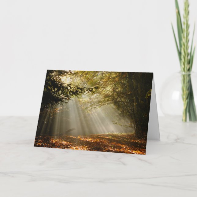 Cartes Pour Fêtes Annuelles Glade de forêt de Sunbeam (Devant)