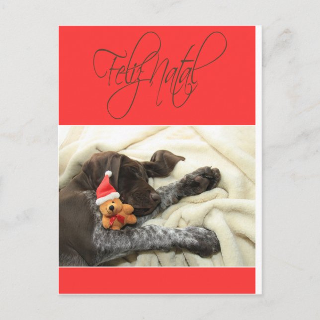 Cartes Pour Fêtes Annuelles Glossy Grizzly Christmas Feliz Natal (Devant)