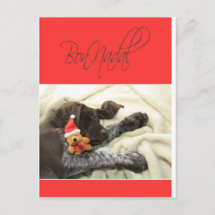 Cartes Pour Fêtes Annuelles Glossy Grizzly Noël Bon Nadal
